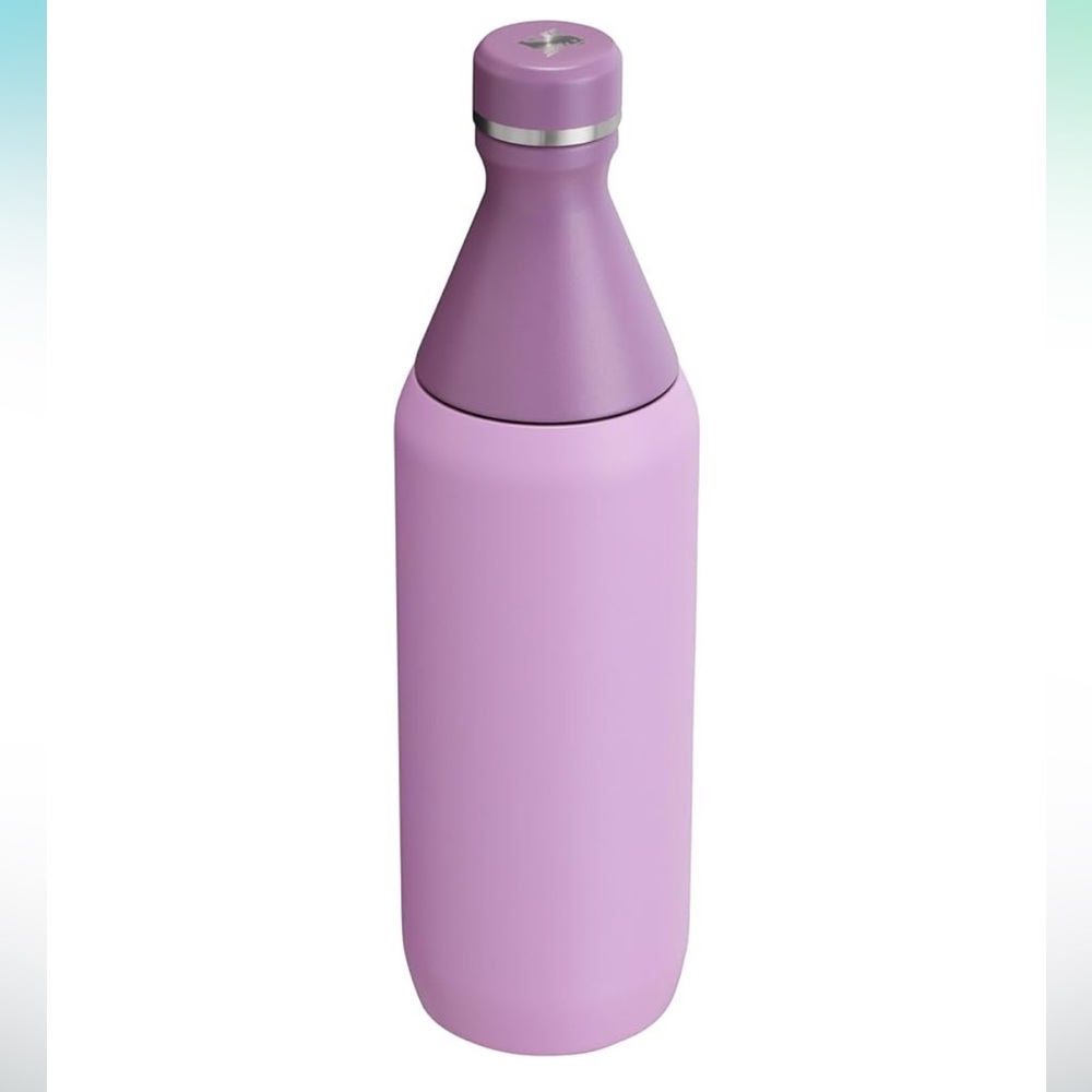 Stanley All Day Slim Bottle 20 oz - Picture 3 of 11